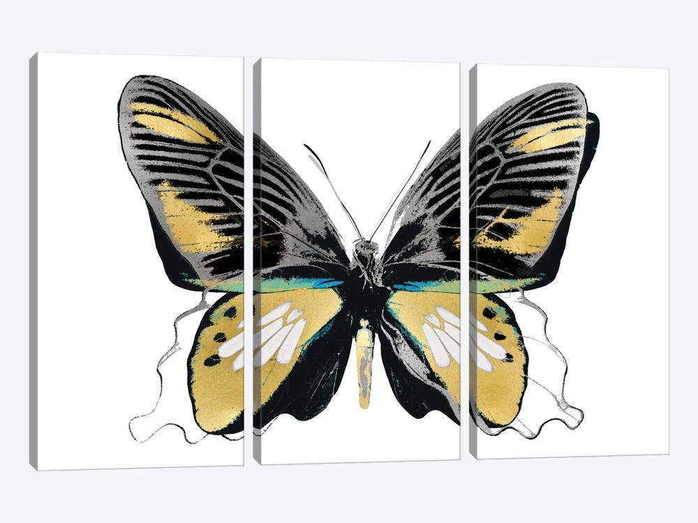 Vibrant Butterfly VI by Julia Bosco 3-piece Canvas Print
