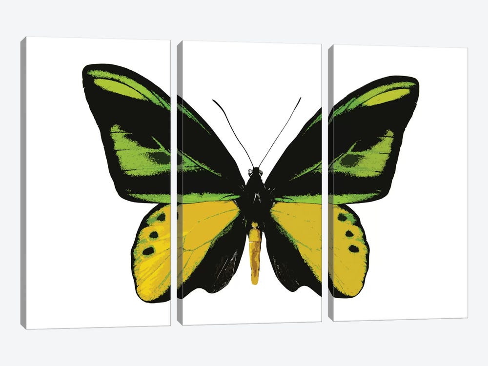 Vibrant Butterfly VII by Julia Bosco 3-piece Canvas Art