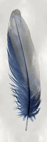 Large Art for Bedroom - Canvas Prints: Blue Feather On Silver I by Julia Bosco