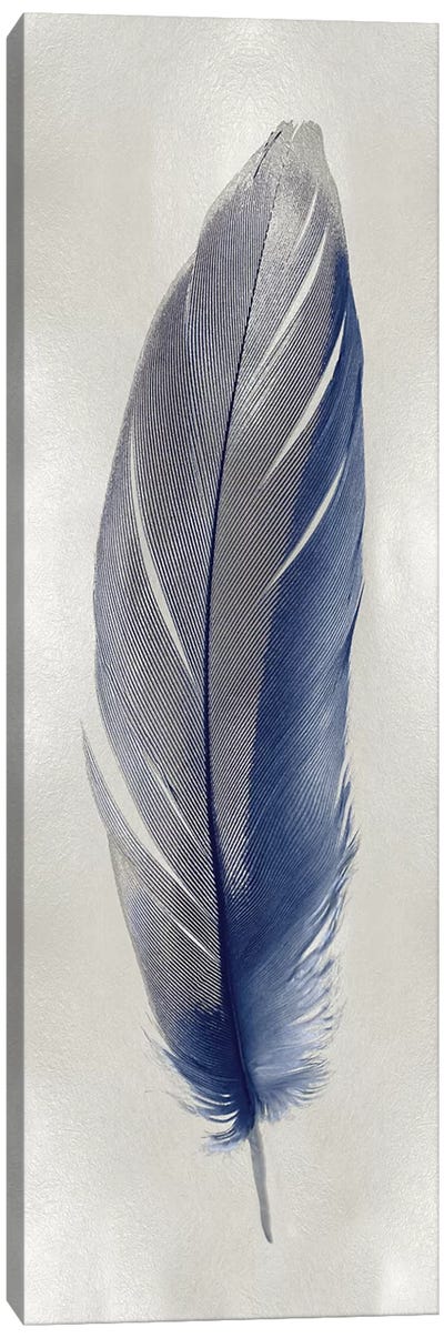 Blue Feather On Silver II Canvas Art Print - Feather Art