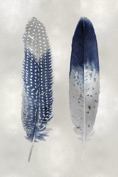 Feathers: Blue Feather Pair On Silver by Julia Bosco