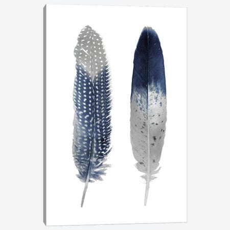 Blue Feather Pair On White Canvas Print #JUL56} by Julia Bosco Canvas Art Print