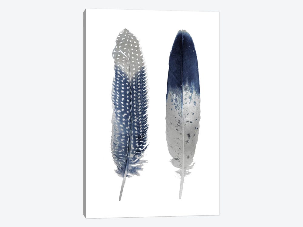 Blue Feather Pair On White by Julia Bosco 1-piece Canvas Wall Art
