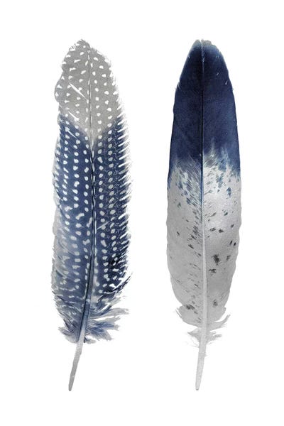 Feathers: Blue Feather Pair On White by Julia Bosco