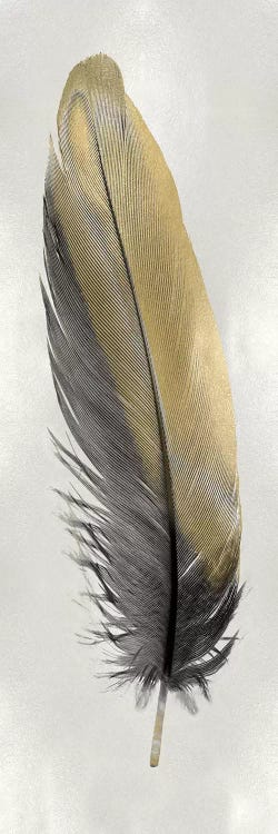 Gold Feather On Silver I