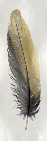 Gold Feather On Silver I
