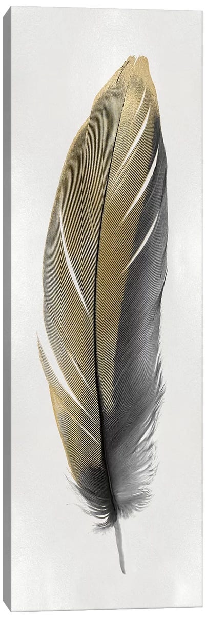 Gold Feather On Silver II Canvas Art Print - Black, White & Gold Art
