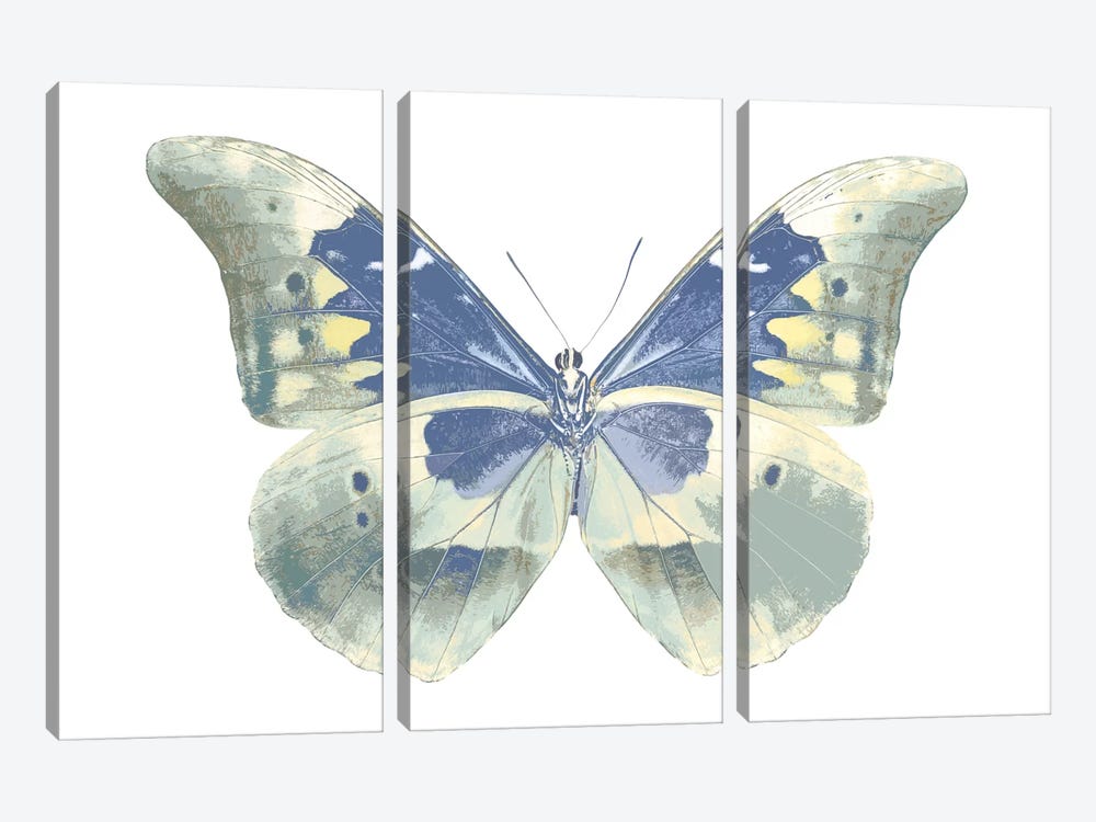 Butterfly In Aqua II by Julia Bosco 3-piece Canvas Wall Art