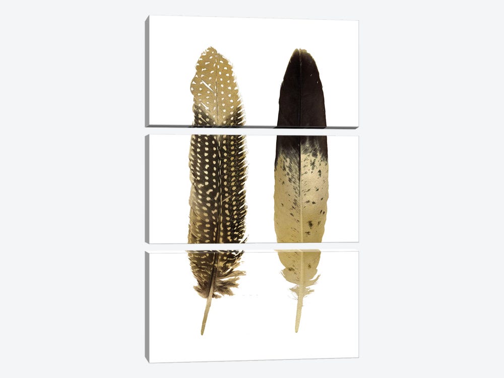 Gold Feather Pair On White by Julia Bosco 3-piece Canvas Print