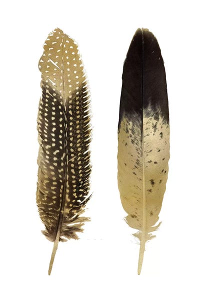 Feathers: Gold Feather Pair On White by Julia Bosco