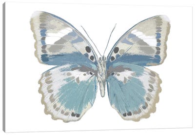 Butterfly In Green And Indigo Canvas Art Print - Julia Bosco