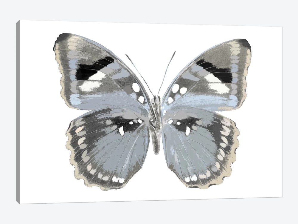 Butterfly In Grey I by Julia Bosco 1-piece Canvas Artwork