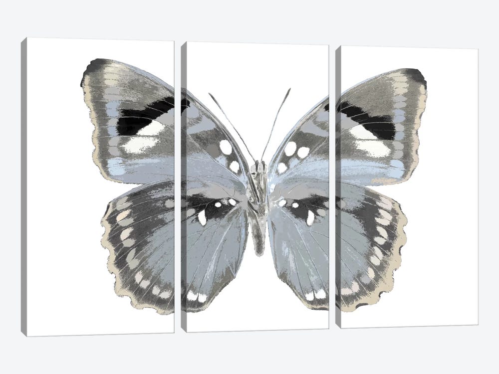 Butterfly In Grey I by Julia Bosco 3-piece Canvas Artwork