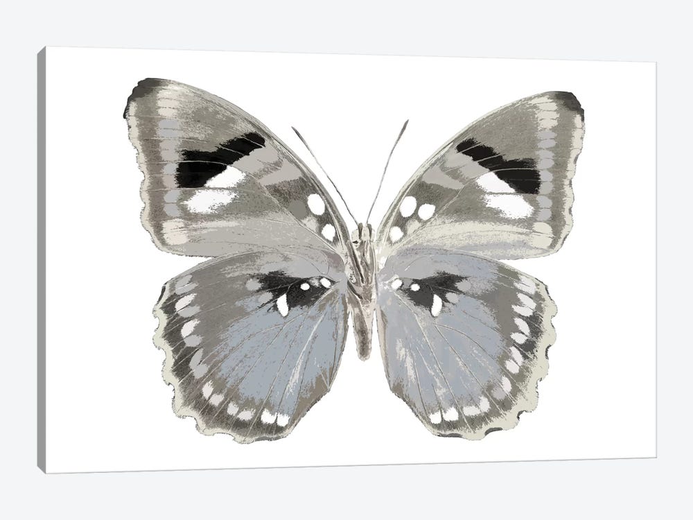 Butterfly In Grey II by Julia Bosco 1-piece Canvas Art Print