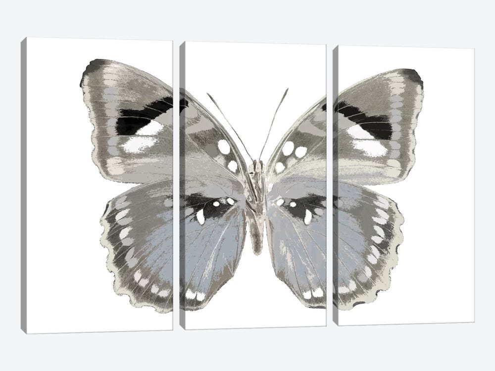 Butterfly In Grey II by Julia Bosco 3-piece Art Print