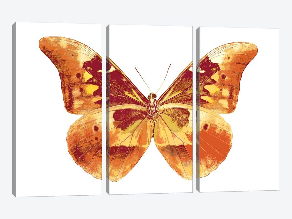 Butterfly In Grey III by Julia Bosco 3-piece Canvas Artwork