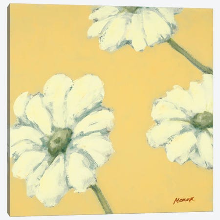 Floral Cache IV Canvas Print #JUM11} by Julianne Marcoux Canvas Art Print