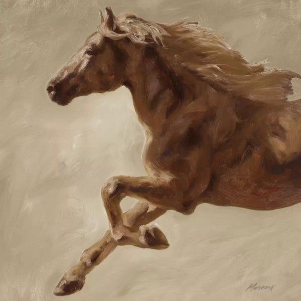 Julianne Marcoux: Trot by Julianne Marcoux