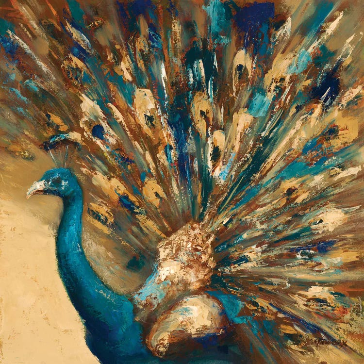 Proud Peacock by Julianne Marcoux wall art