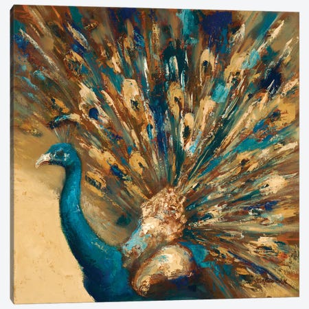 Proud Peacock Canvas Print #JUM16} by Julianne Marcoux Canvas Artwork