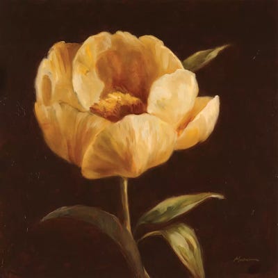 Floral Symposium I by Julianne Marcoux multi panel art