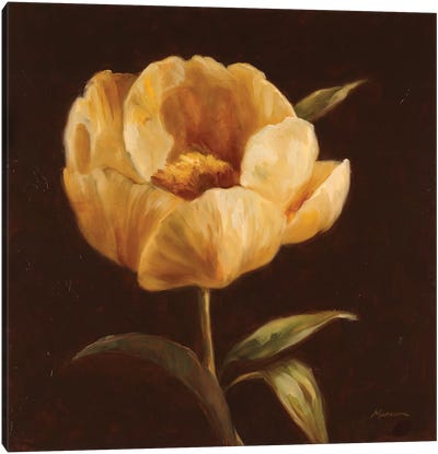 Floral Symposium I Canvas Art Print