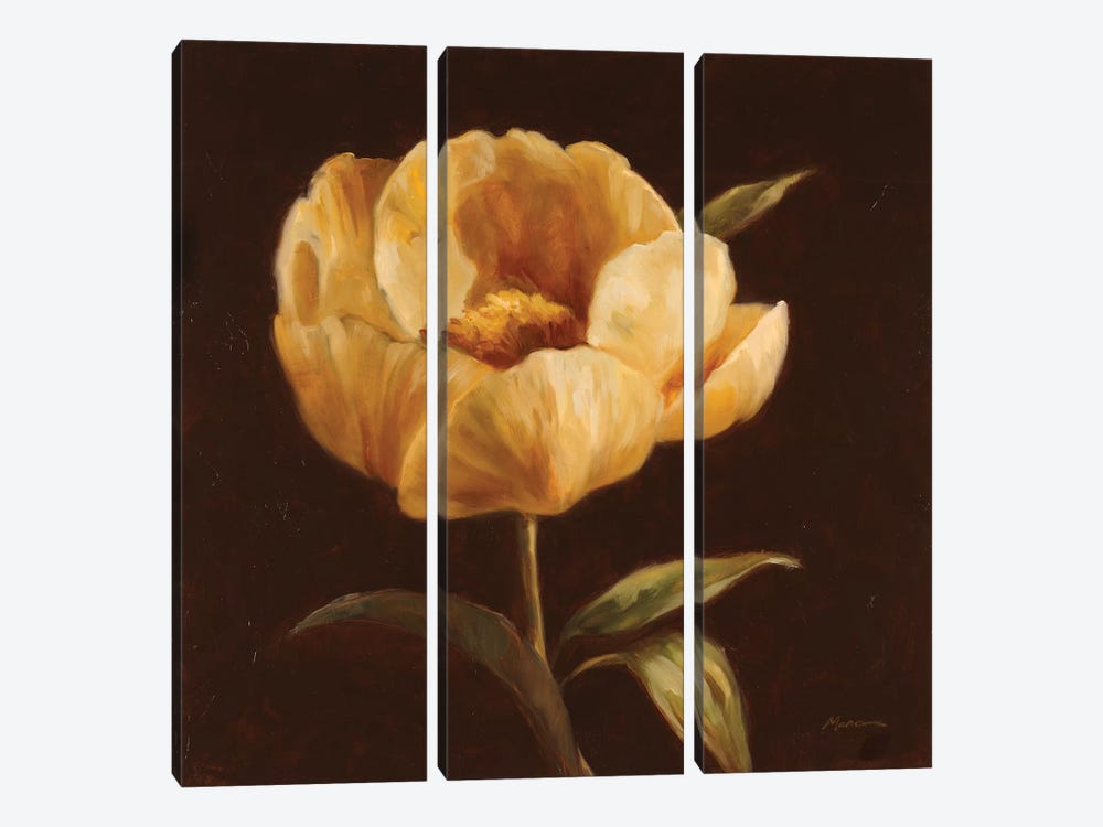 Floral Symposium I by Julianne Marcoux 3-piece Canvas Wall Art
