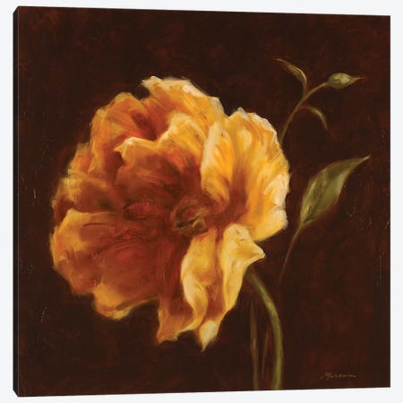 Floral Symposium II Canvas Print #JUM18} by Julianne Marcoux Canvas Print