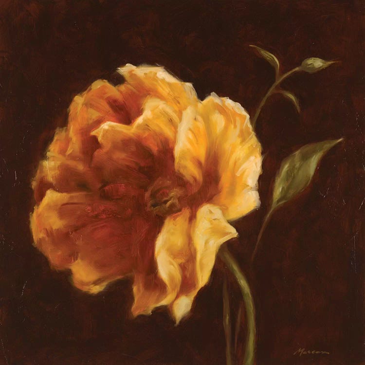 Floral Symposium II by Julianne Marcoux wall art