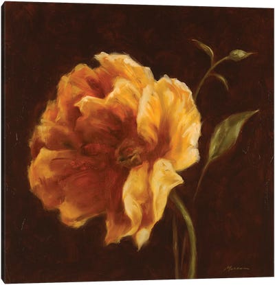 Floral Symposium II Canvas Art Print