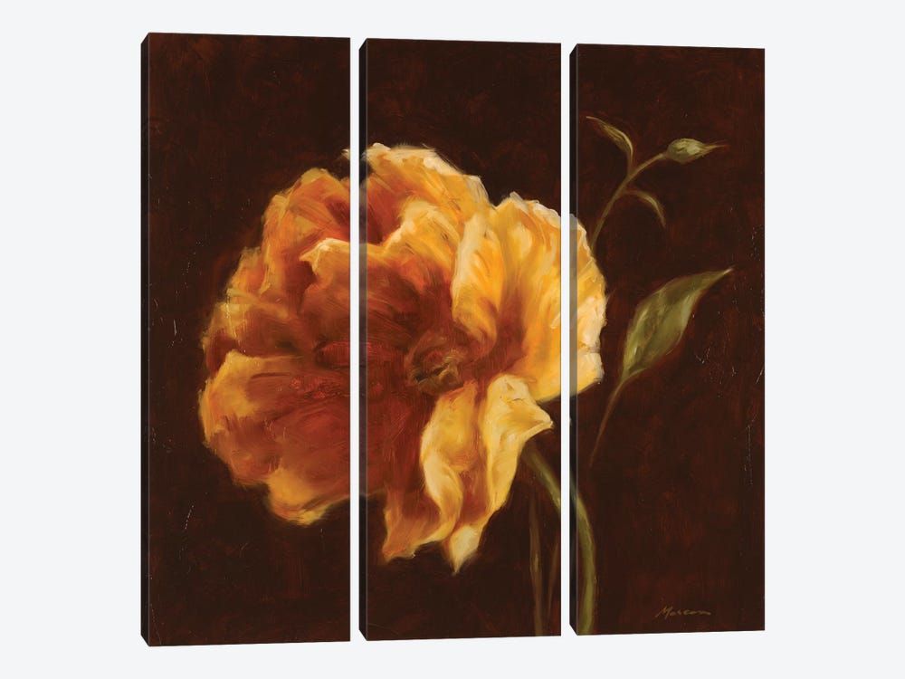 Floral Symposium II by Julianne Marcoux 3-piece Canvas Print