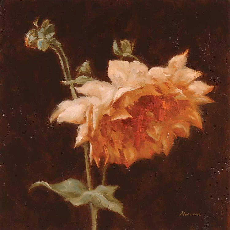 Floral Symposium III by Julianne Marcoux wall art
