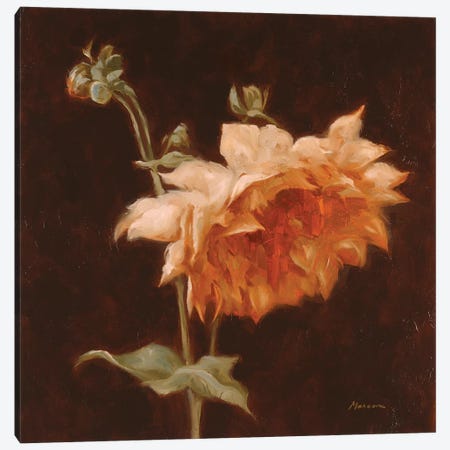Floral Symposium III Canvas Print #JUM19} by Julianne Marcoux Canvas Art Print