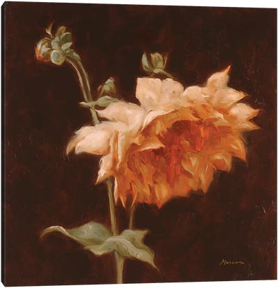 Floral Symposium III Canvas Art Print