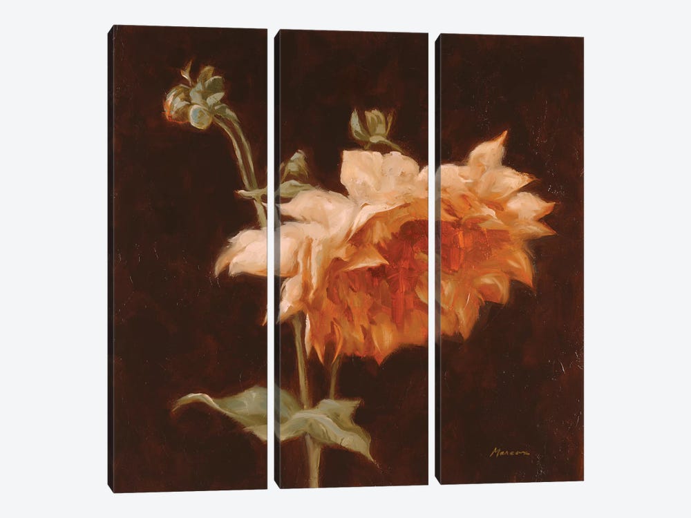 Floral Symposium III by Julianne Marcoux 3-piece Canvas Wall Art