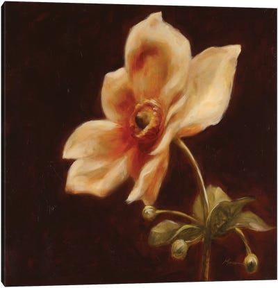 Floral Symposium IV Canvas Art Print