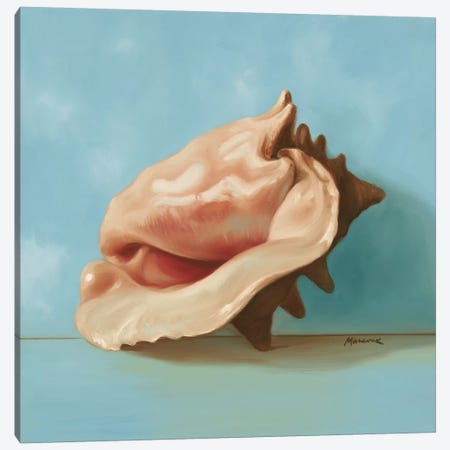 Shells I Canvas Print #JUM23} by Julianne Marcoux Canvas Art