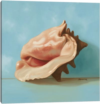 Shells I Canvas Art Print