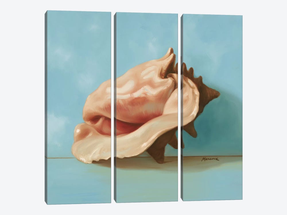 Shells I by Julianne Marcoux 3-piece Canvas Art Print