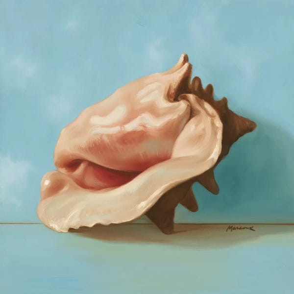 Julianne Marcoux: Shells I by Julianne Marcoux