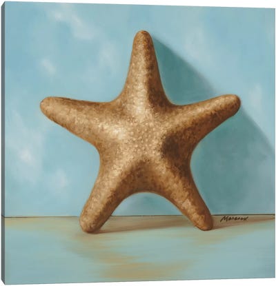 Shells II Canvas Art Print - Starfish Art