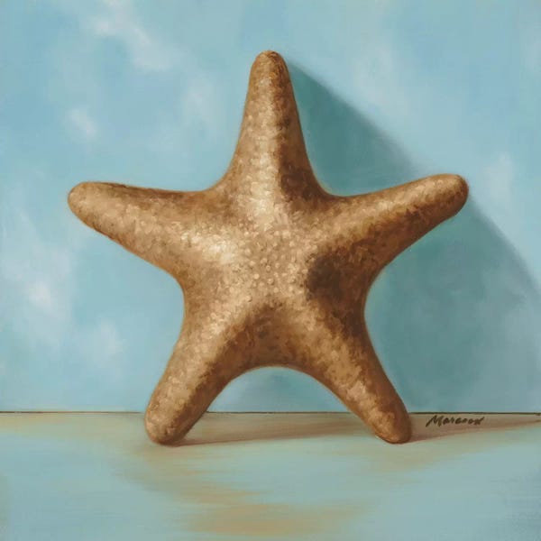 Julianne Marcoux: Shells II by Julianne Marcoux