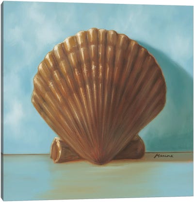 Shells III Canvas Art Print