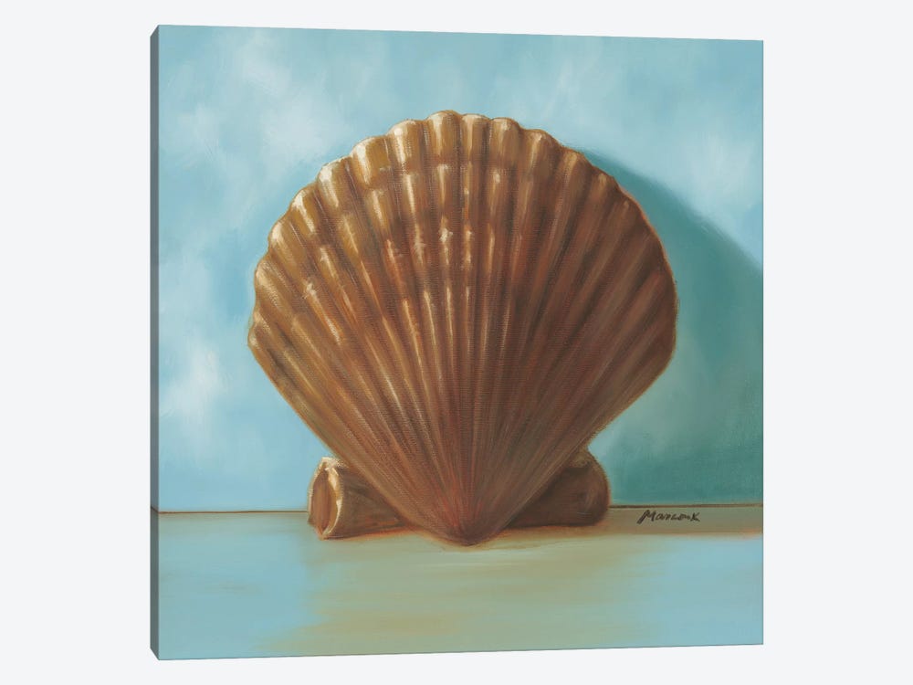 Shells III by Julianne Marcoux 1-piece Canvas Print