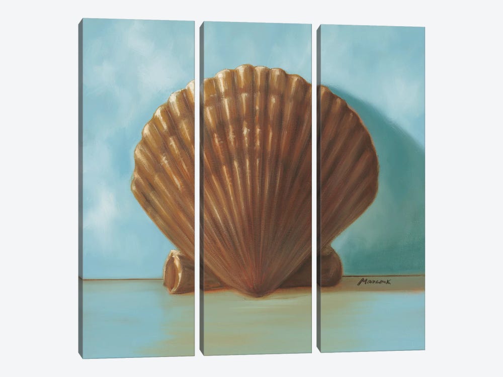 Shells III by Julianne Marcoux 3-piece Canvas Print