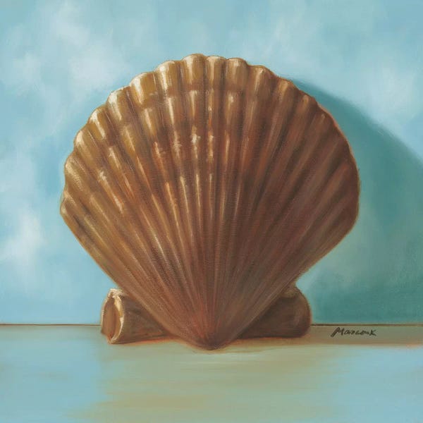 Julianne Marcoux: Shells III by Julianne Marcoux