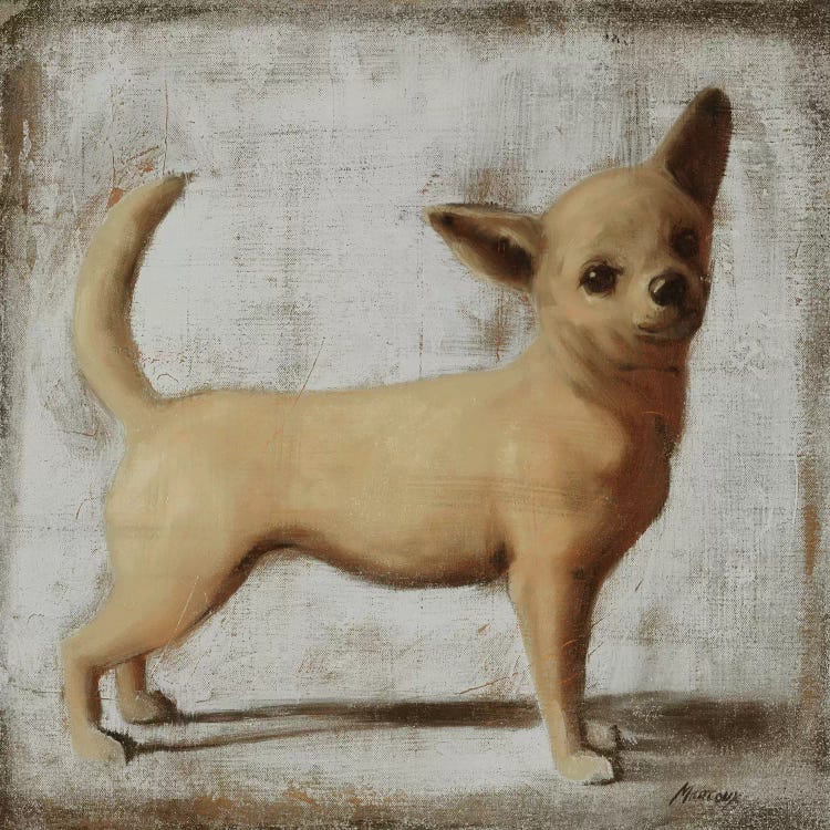 Chihuahua by Julianne Marcoux wall art