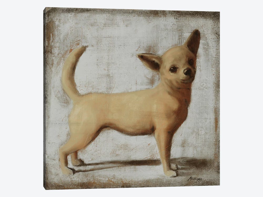 Chihuahua by Julianne Marcoux 1-piece Canvas Art