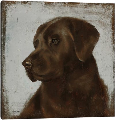 Lab Canvas Art Print - Labrador Retriever Art