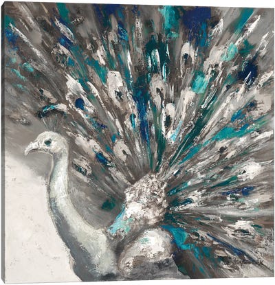 Proud Peacock II Canvas Art Print